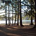 Westwood Lake Park