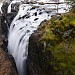 Englishman River Falls Provincial Park