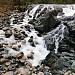 Englishman River Falls Provincial Park