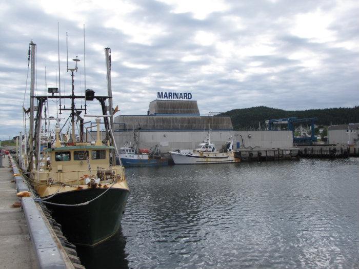 RivièreauRenard (Gaspé)