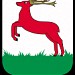 Piła