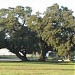 San Gabriel Park