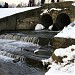 Водовыпуск Шибаевского пруда (ru) in Moscow city