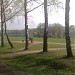 Kuskovsky Forest
