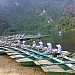 Trang An  ferry  Rowing