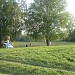 Шиловский лесопарк в городе Шилово