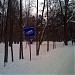 Елизаветинский овраг в городе Москва