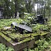 Novodevichy cemetery