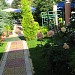 Hotel Perla in Pogradec city