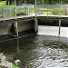 Big Qualicum River Hatchery