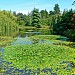 VanDusen Botanical Garden