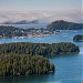 Tofino