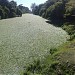 Lagoinha das Taxas (pt) in Rio de Janeiro city