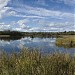 Buttertubs Marsh