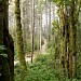 French Beach Provincial Park