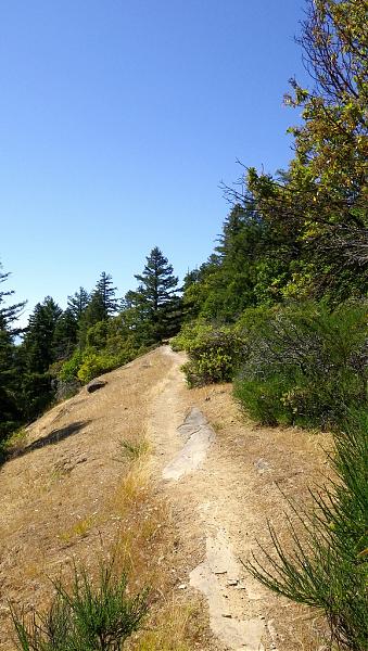 Bodega Ridge Provincial Park