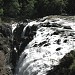 Englishman River Falls Provincial Park