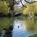 Goodacre Lake