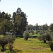 المجمع الصناعي - تاجوراء in Tripoli city
