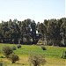 المجمع الصناعي - تاجوراء in Tripoli city
