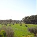 المجمع الصناعي - تاجوراء in Tripoli city