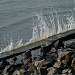 Chandipur Pantha Niwas Beach