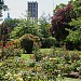 Fairmont Empress Rose Garden