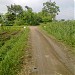 dalan nang tombol in Klaten city