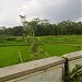kali cangkringan in Klaten city