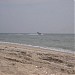 Пляж  (uk) в городе Белосарайская Коса