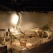 Museo Paleontológico Egidio Feruglio en la ciudad de Trelew