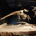 Museo Paleontológico Egidio Feruglio en la ciudad de Trelew
