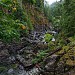 Sooke Potholes Provincial Park