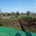 Foxes Piece Allotment