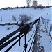 Висячий пешеходный мост через реку Каменку в городе Каменск-Уральский
