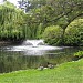 Goodacre Lake