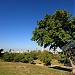 Wolfson park in Tel Aviv-Yafo city