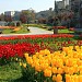Gaziosmanpaşa İlköğretim Okulu (tr) in Ankara Metropolitan Municipality city