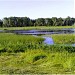 Drying Up Soshnik lake