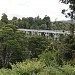 Percy Burn Viaduct