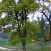 Ботанический сад «Волынь» ВНУ в городе Луцк