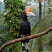 Kuala Lumpur Bird Park,Taman Burung Kuala Lumpur