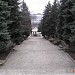 Центральная лестница в городе Ставрополь