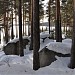 Мыс Гамаюн в городе Екатеринбург