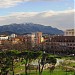 Lulishtja e Shatërvanit in Shkodër city