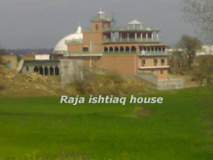 Malik Pur