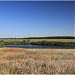 Пруд в пойме реки Рыгин в городе Каменск-Шахтинский