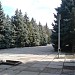 Ялинова алея в місті Харків