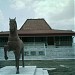 rumah bari bayumi  (id) in Palembang city