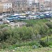 Marché bi-hebdomadaire d'El kseur